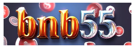 bnb55 logo